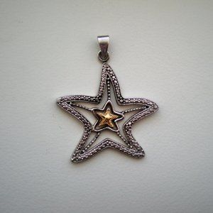 LARGE Love Earth Sterling Silver 925 10K Gold Sea Star Starfish Nautical Pendant